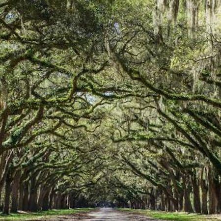 5Min To River Street, Dt - Spacious - Free Parking Savannah Kültér fotó
